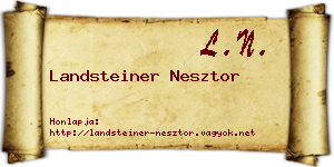Landsteiner Nesztor névjegykártya